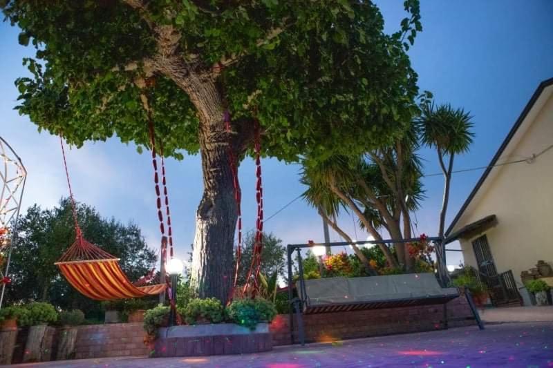 شقة Casa Di Nunzia Caiazzo المظهر الخارجي الصورة